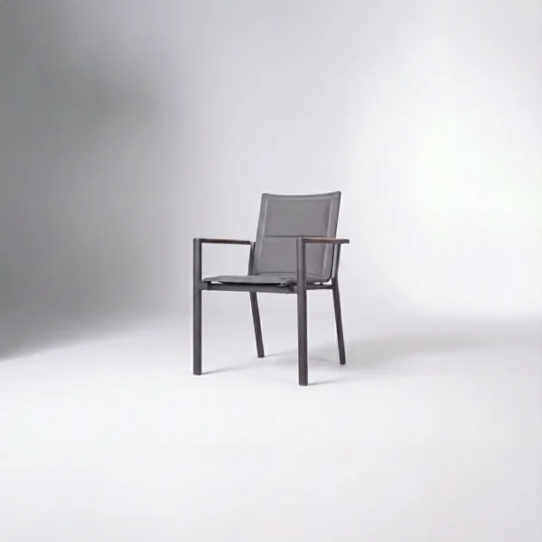 Contemporary outdoor dining chair