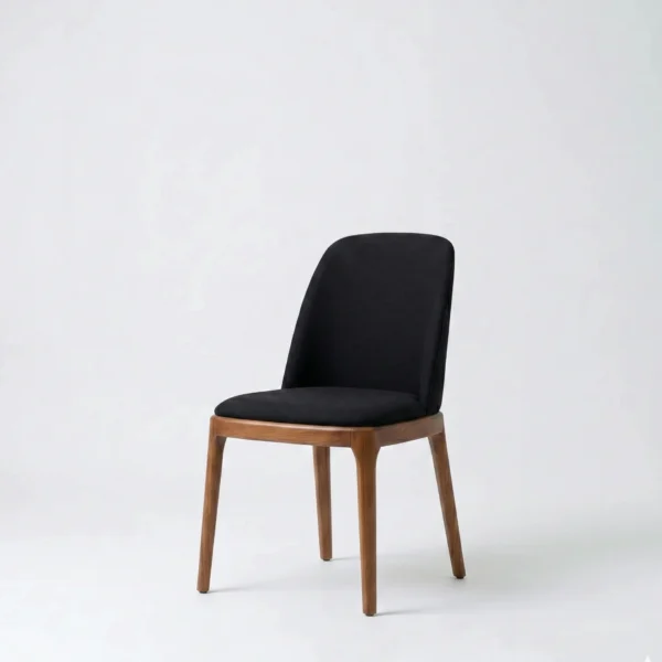 Zenish side chair premium boutique seating in a clean minimalist studio setting.